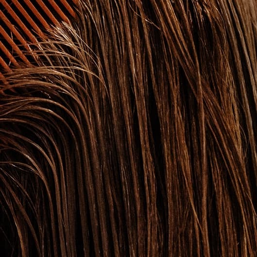 Loyalty Cuts Pass at Colour & Links Lounge in Duncan, OK